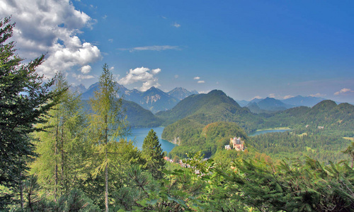 巴伐利亚 小山 夏天 山谷 德国 森林 美丽的 自然 旅游业