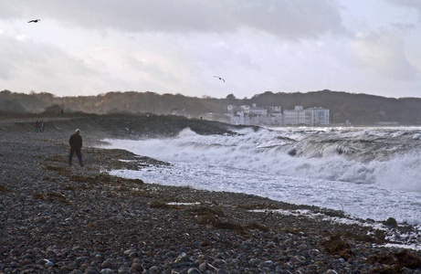 海岸 波罗的海 波浪 十一月 海洋 海滨 海滩