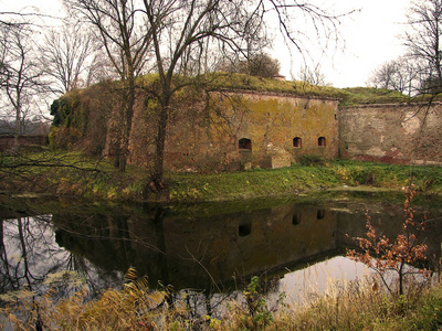 废墟 苔藓 防御 堡垒 植物 池塘 城堡 要塞