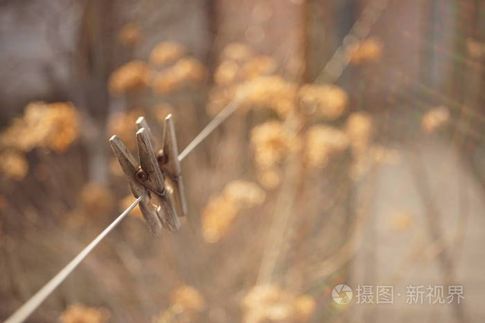 在阳光明媚的花园里，两个旧的木制衣夹挂在绳子上。