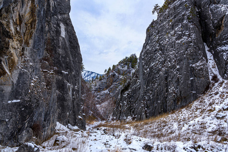 斜坡 旅游业 高的 森林 旅行 自然 冬天 全景 冰川 风景