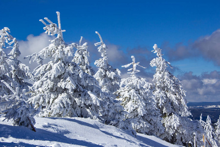 Fichtelberg Oberwiesenthal冬季景观