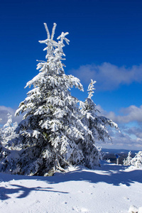 Fichtelberg Oberwiesenthal冬季景观