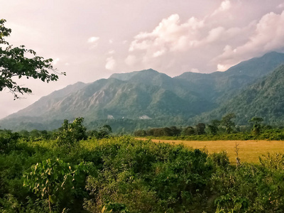 旅行 春天 农场 草地 早晨 美丽的 天空 农业 领域 夏天