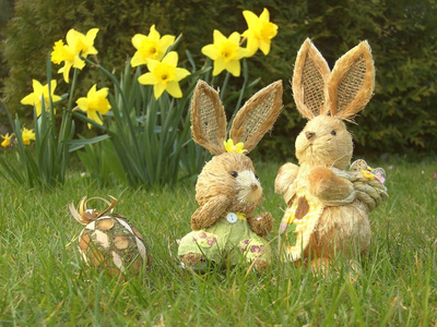 五颜六色 春天 野兔 礼物 花园 五花八门 潘尼尔 兔子