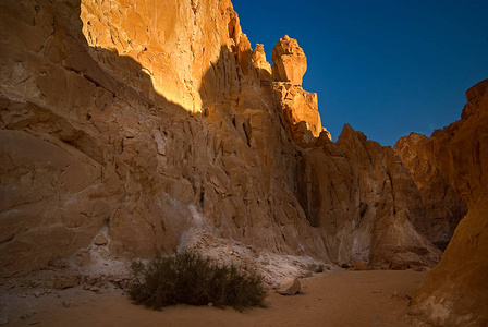 自然 旅游业 犹他州 国家的 美国 砂岩 峡谷 岩石 沙漠