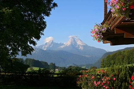 阳台 见解 植物 岩石 远景 全景图 阿尔卑斯山 景象