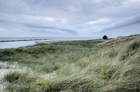 海藻 波罗的海 小屋 旅游业 提出 海滩 风景 沙丘 日出