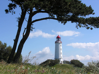 海洋 松木 信标 夏天 海岸 夏季 航海 航行 波罗的海