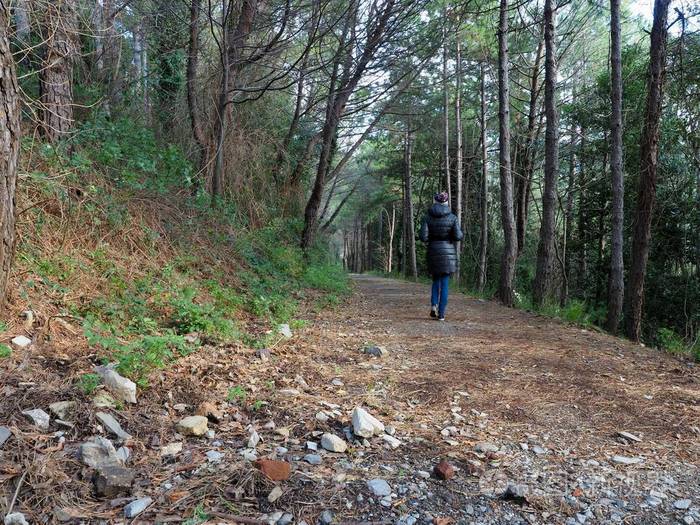独自一人在森林里散步的女孩