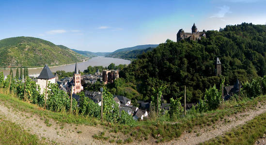 全景图 夏季 夏天 景象 天空 莱茵河 见解 城堡 远景