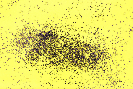 Yellow background with black confetti. 