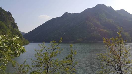 大山碧水绿树美景