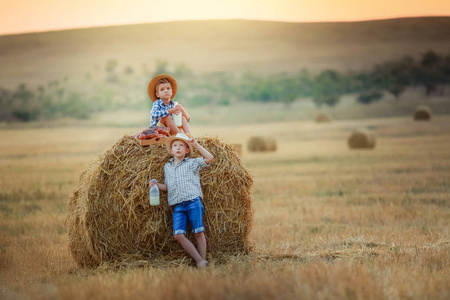 一个67岁男孩的两个朋友在干草堆附近收集小麦