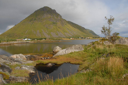 旅行 挪威 乡村 海洋 欧洲 闲暇 浪漫的 草地 旅游 闪耀