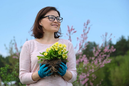 春天的画像女性戴手套手拿樱草花在花园里