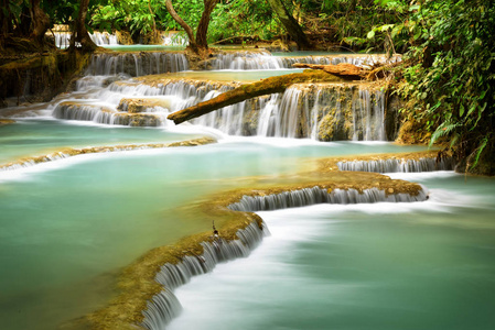 自由 美丽的 瀑布 假期 旅行 自然 森林 旅游业 发现