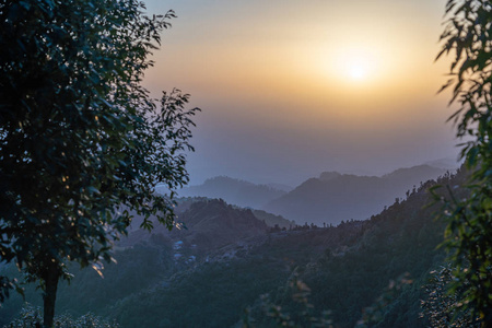 旅行 高的 太阳 美丽的 峡谷 自然 高峰 岩石 冒险 森林