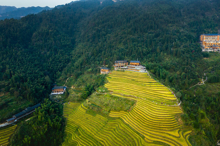 美丽的 天空 植物区系 植物 领域 土地 农业 农场 农事