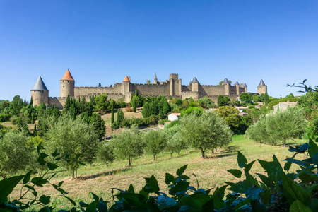 Cathedral Saint Michel of Carcassonne 