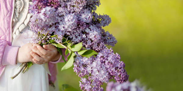 一束春天的丁香花在年轻女孩手上的绿色b照片