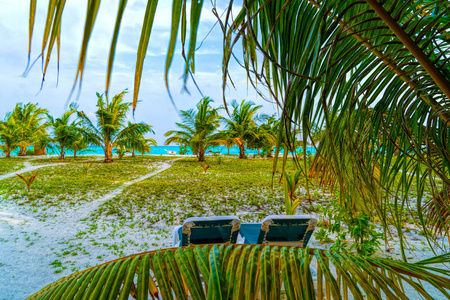 马尔代夫美丽的热带海滩上的躺椅