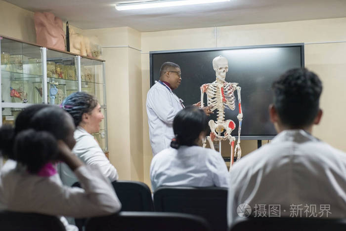 人体的解剖结构展示在骨骼上在教室里一群穿着白大褂的男女混血青年