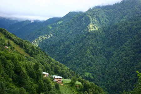 环境 天空 夏天 火鸡 高原 小山 森林 风景 旅游业 美丽的