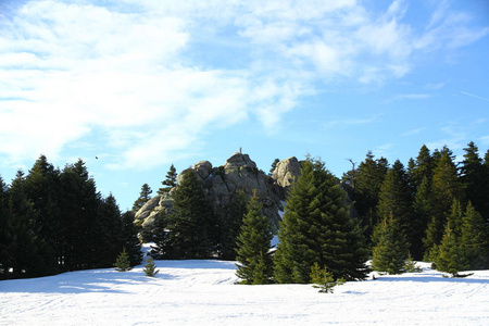 假期 季节 冬天 火鸡 运动 场景 天空 滑雪 天气 公园