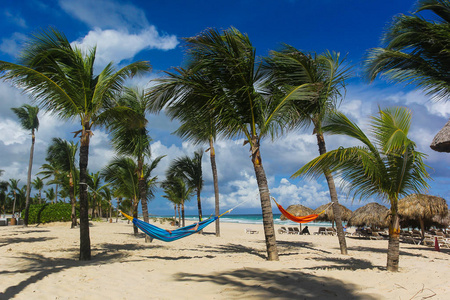 女孩躺在棕榈树丛中海滩上的吊床上
