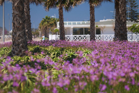 Embankment with flowers