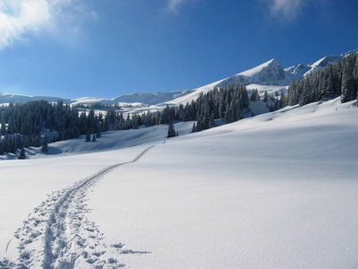 地区 美丽的 瑞士 自由 脚印 风景 自然 积雪 轨道 环境