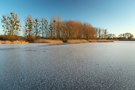 冰封的湖面上的雪，没有叶子的树和蓝天，冬天的景色