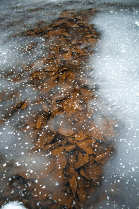 冰水秋叶冬雪