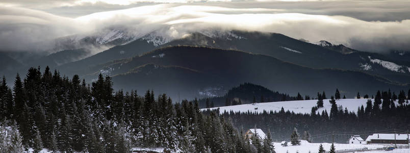 罗马尼亚喀尔巴阡山脉的冬日森林。