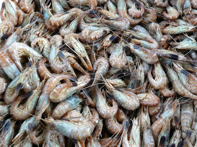 亚洲 烹饪 钓鱼 海鲜 饮食 食物 自然 营养 动物 抓住