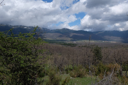 美丽的 场景 旅游业 天空 小山 自然 美女 风景 森林