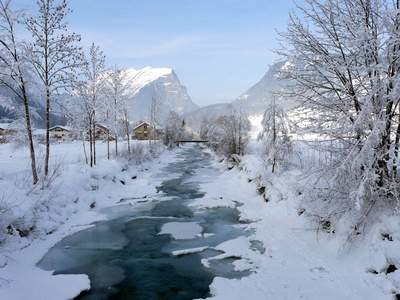 二月 寒冷的 季节 冬天 分支 环境 森林 气候 天气 十二月