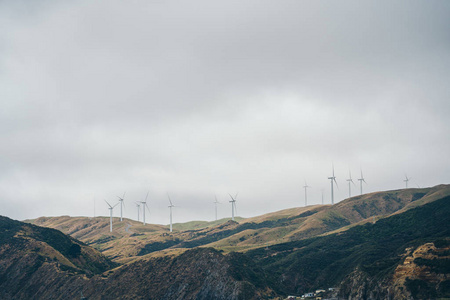 新西兰惠灵顿风力发电厂景观图片
