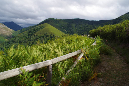 山谷 夏天 公园 森林 小山 天空 亚洲 风景 自然 旅游业