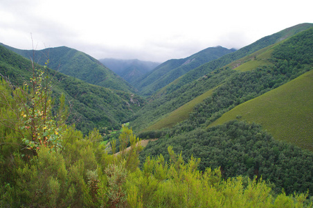 小山 旅游业 森林 旅行 夏天 风景 徒步旅行 山谷 美丽的