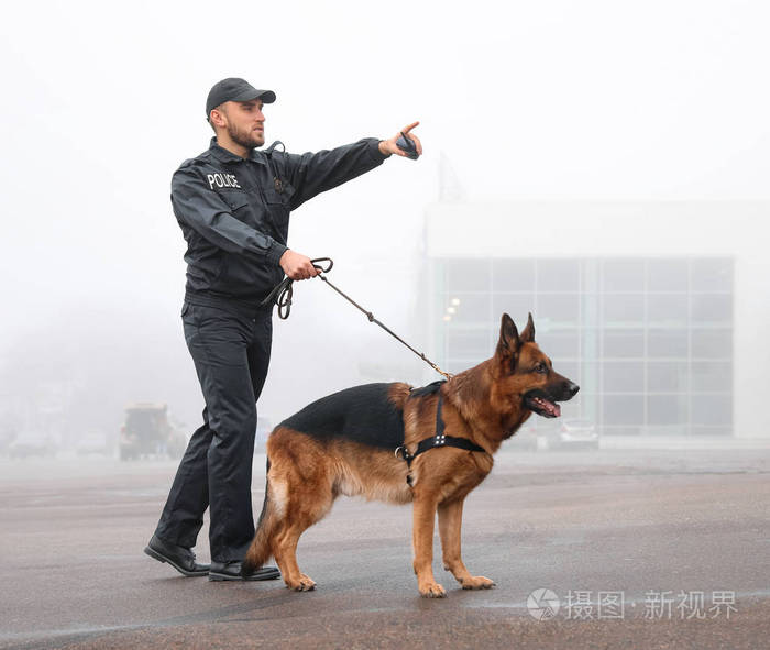 男警察带着狗在城市街道巡逻