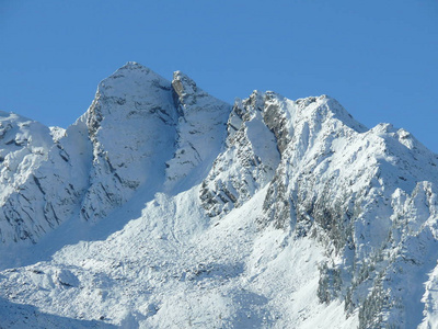 阿尔卑斯山 冬天 寒冷的 风景 乡村 自然 森林