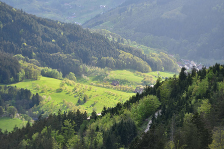 德国 山坡 风景 四月 气氛 自然 空气 森林 春天 欧洲