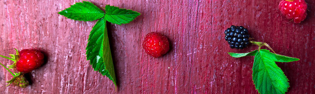 红色木质背景上有黑莓和覆盆子的横幅。