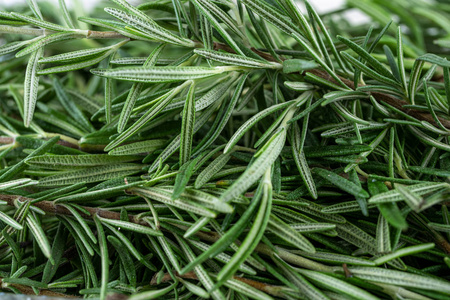 植物 调味品 季节 分支 草药 草本植物 食物 调料品 素食主义者