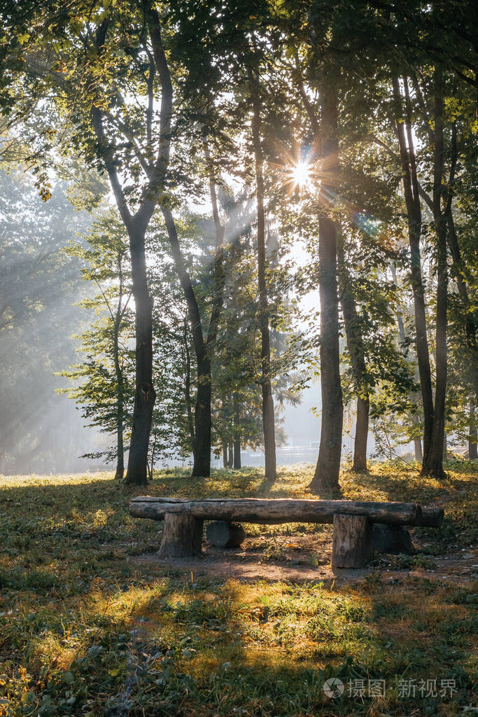 在公园里一个阳光明媚的夏日早晨阳光透过树叶照射进来