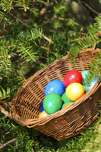 草地 美极了 分支 复活节 草坪 五花八门 颜色 鸡蛋 篮子