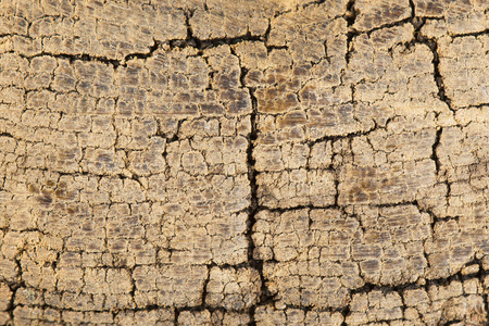 土壤 污垢 黏土 干旱 环境 土地 自然 纹理 破裂 沙漠
