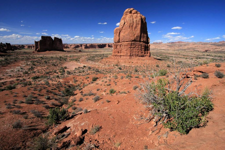 国家 联合 地质学 岩石 美女 旅游业 沙漠 峡谷 拱门